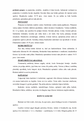 www.speros.lt
